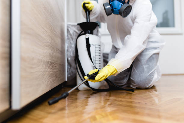 Pest Prevention Services in East Dundee, IL