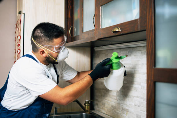 Best Flea Control Services  in East Dundee, IL
