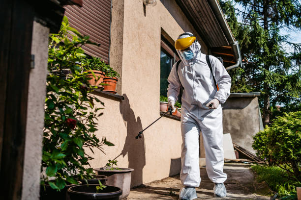 Best Pest Prevention Services  in East Dundee, IL
