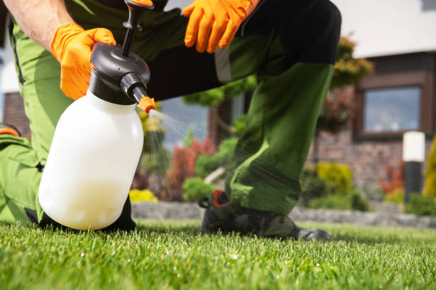 Best Pest Removal Services  in East Dundee, IL