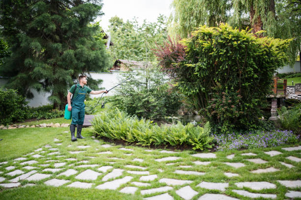 Best Best Pest Control Companies  in East Dundee, IL