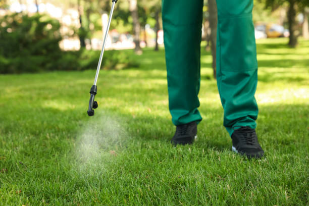 Best Pest Removal Services  in East Dundee, IL