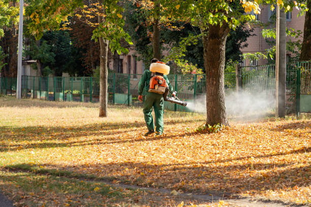 Best Pest Inspection Near Me  in East Dundee, IL