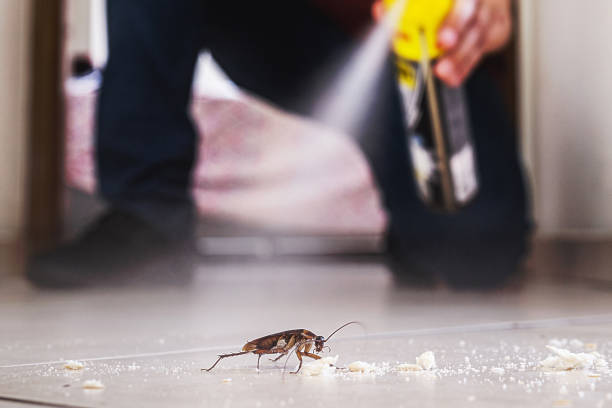 Best Residential Pest Control  in East Dundee, IL