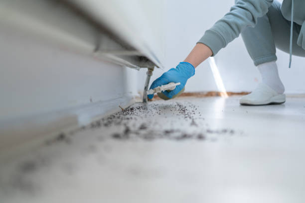 Best Pest Prevention Services  in East Dundee, IL