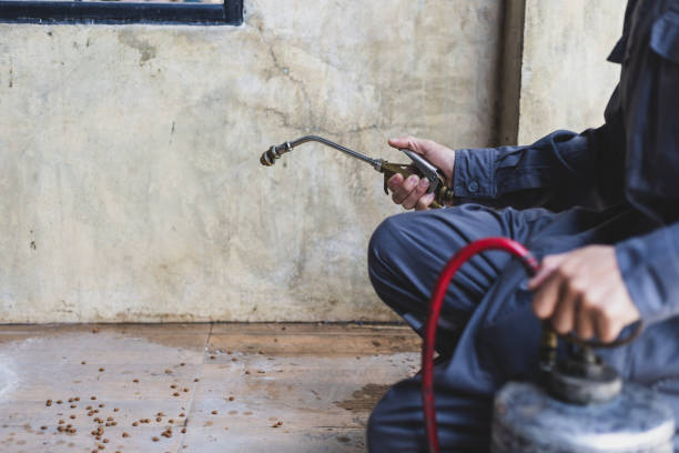 Best Emergency Pest Control  in East Dundee, IL
